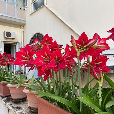 Apartmán Il Giglio Rosso Neapol Exteriér fotografie